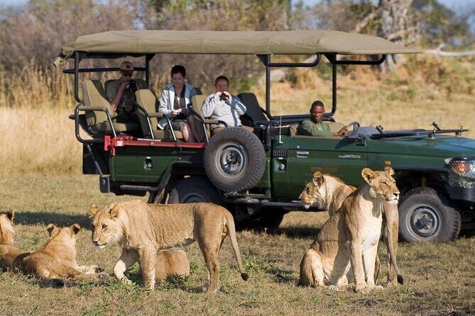 4 Day Garden Route Tour from CapeTown Small Group Hiking and Game - Final Thoughts