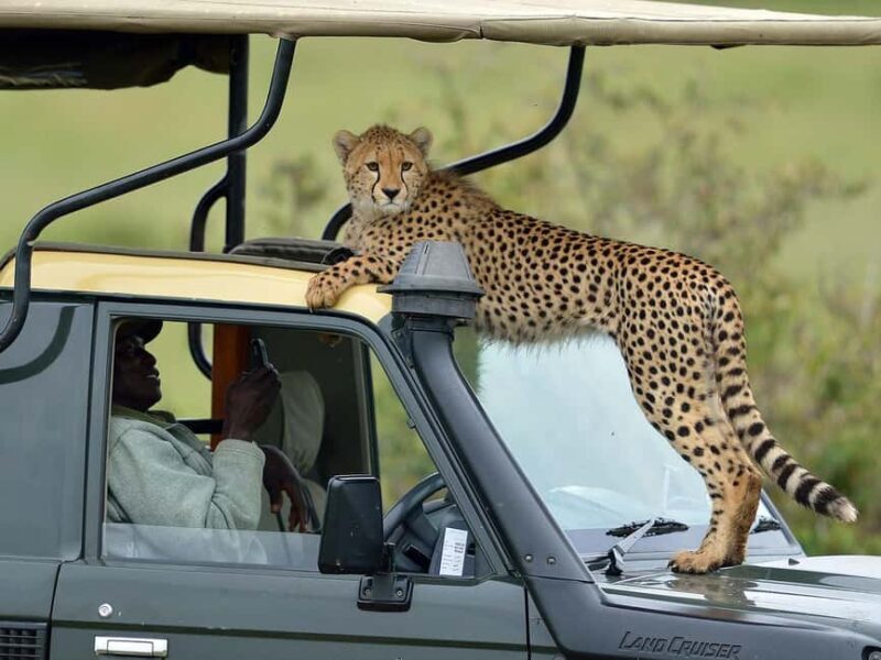 4 Day Group Joining Maasai Mara & Lake Nakuru for flamingos - Key Points
