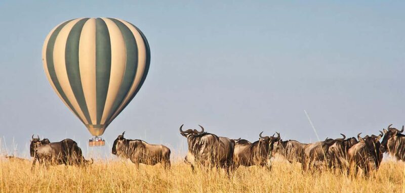 4 Day Group Joining Maasai Mara & Lake Nakuru for flamingos - Final Thoughts: Is This Tour Worth It?