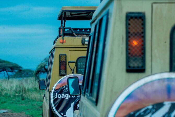 4-Day Group Joining Safari in Tanzania | Shared Safari - The Itinerary in Detail