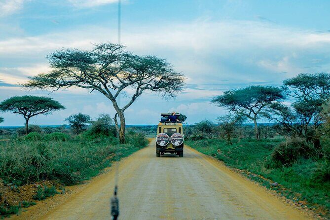 4-Day Group Joining Safari in Tanzania | Shared Safari - FAQ