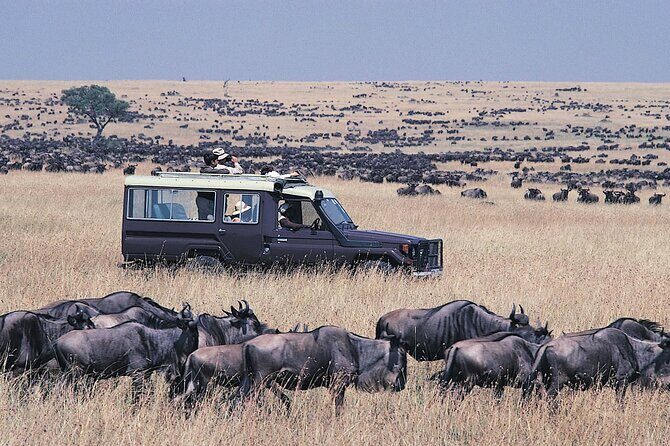 4 day Group Safari To Maasai Mara and L. Nakuru Park by 4x4 jeep - FAQ
