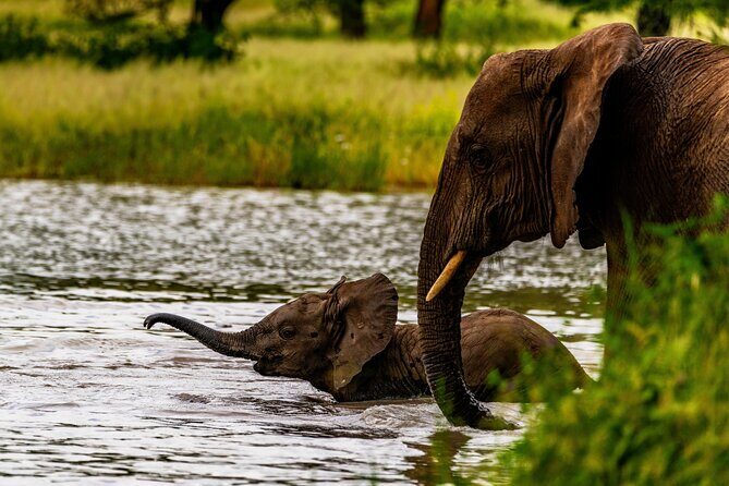4-Day Group Safari to Tarangire, Serengeti & Ngorongoro Crater - Authentic Experiences from Past Travelers