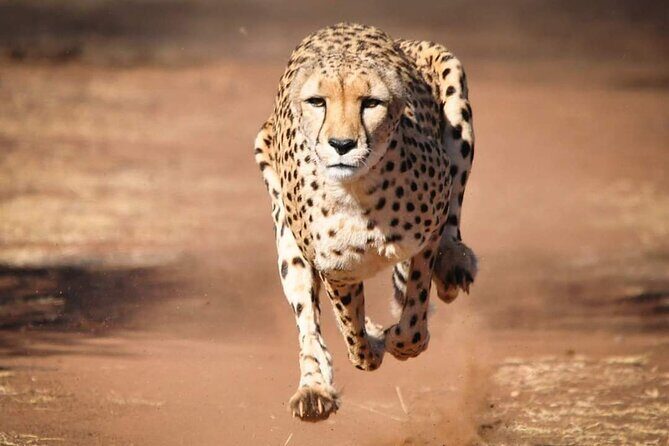 4 Day Group Tour to Maasai Mara and Lake Nakuru by a 4WD Cruiser - Day 3: From Maasai Mara to Lake Nakuru – Scenic Stops & Cultural Encounters