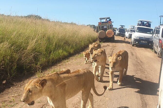 4 Day Group Tour to Maasai Mara and Lake Nakuru by a 4WD Cruiser - Practical Tips for Future Travelers