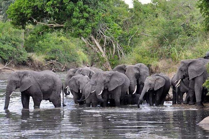 4-Day Group Tour to Tarangire, Serengeti, Ngorongoro - Lodge - Who Would Love This Tour?