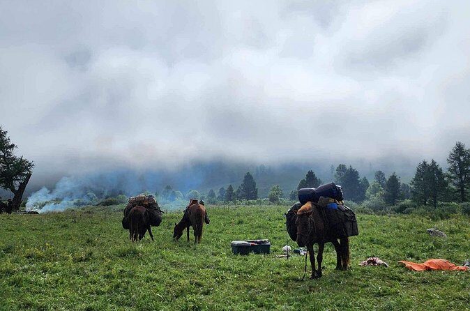 4-Day Horseback Adventure to Khagiin Khar Lake - Final Thoughts: Is it Worth It?