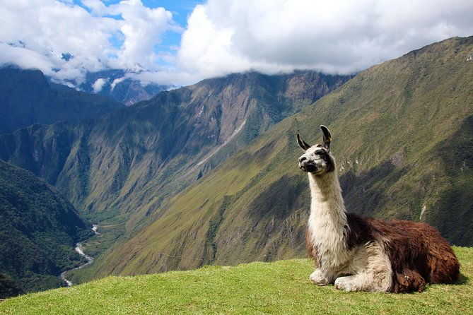 4-day-inca-trail-to-machu-picchu-group-service
