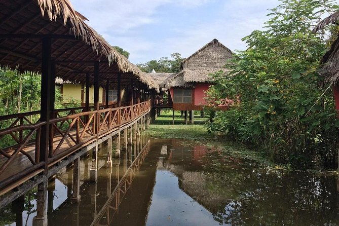 4-day-iquitos-amazon-jungle-adventure-at-heliconia-lodge