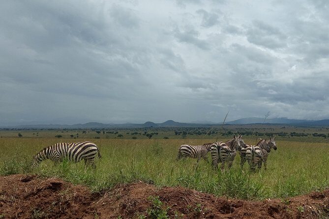4-Day Kidepo Valley National Park Flight Safari (Luxury) - Authentic Experiences and Real Impressions