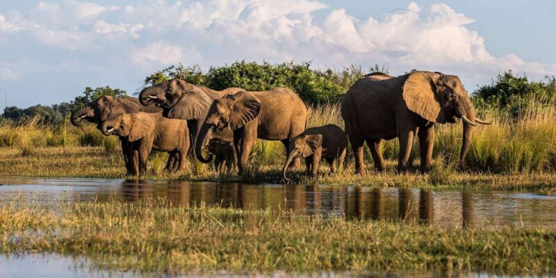 4 Day Kruger National Park Private Safari From Johannesburg - An Overview of the Itinerary