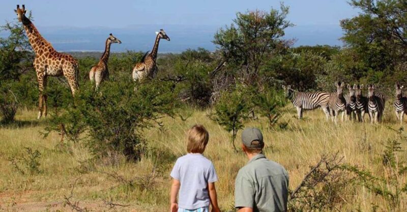 4 Day Kruger National Park Private Safari From Johannesburg - Practical Details & Tips