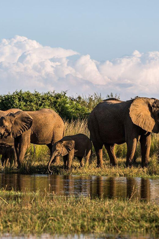 4 Day Kruger National Park Private Safari From Johannesburg - FAQs