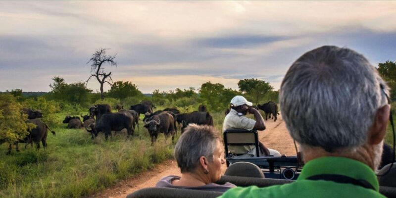 4 Day Kruger National Park Private Safari From Johannesburg - Final Thoughts