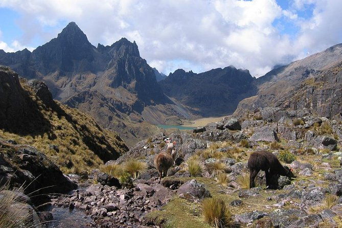 4-day-lares-trek-to-machu-picchu-group-service