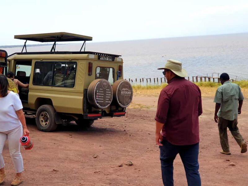 4-Day Last-Minute Safari to Lake Manyara, - Key Points