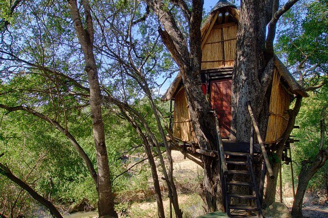 4 Day Lodge and Treehouse Kruger National Park Safari - In-Depth Look at the 4-Day Kruger Safari