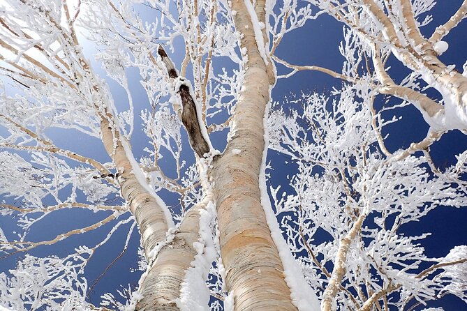 4-day-luxury-tohoku-snow-retreat-appreciate-the-stillness
