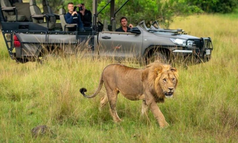 4-Day Luxury Wildlife Adventure in Rwanda - Cultural Deep Dive: Kigali’s Memorial and City Tour