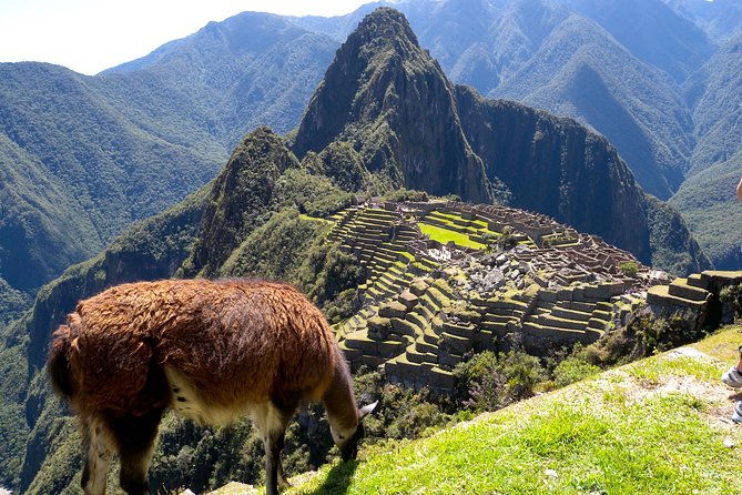 4-day-machu-picchu-special-group-service