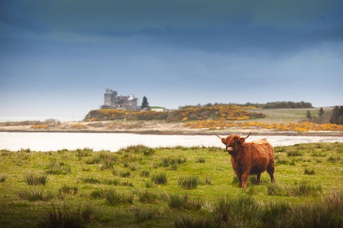 4-day-magical-mull-iona-west-highlands-small-group-tour-from-edinburgh