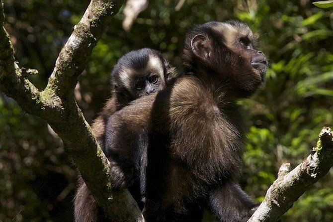 4-day-manu-jungle-trip-from-cusco