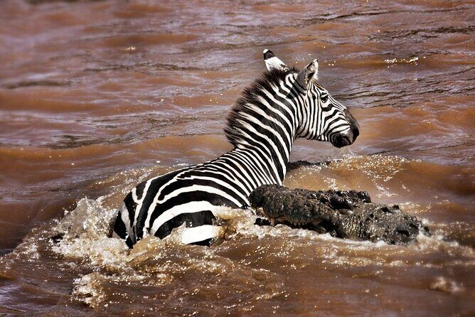 4-Day Manyara Serengeti and Ngorongoro Wonders Budget Safari Tour - A Close Look at the Itinerary