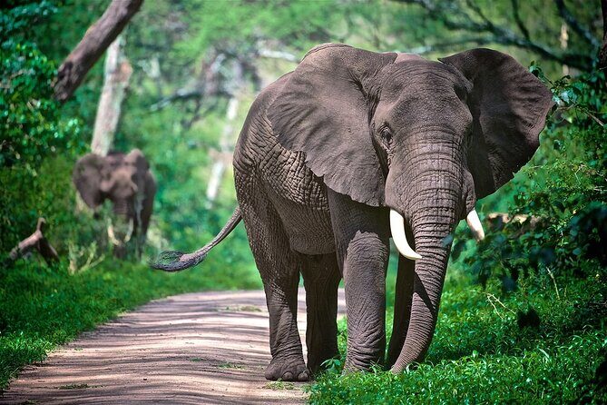 4-Day Manyara Serengeti and Ngorongoro Wonders Budget Safari Tour - FAQ