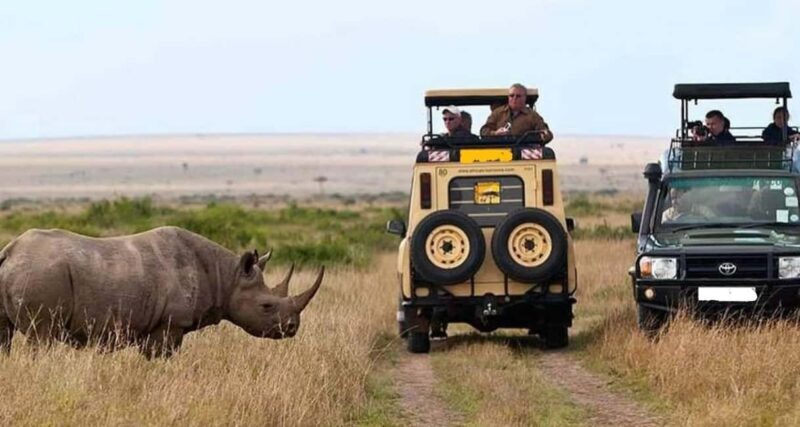 4-Day Masaai Mara & Lake Nakuru Camping Safari on a 4x4 Jeep - Key Points