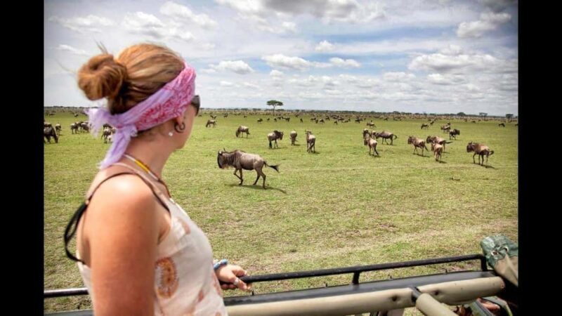 4-Day Masaai Mara & Lake Nakuru Camping Safari on a 4x4 Jeep - Final Recommendation
