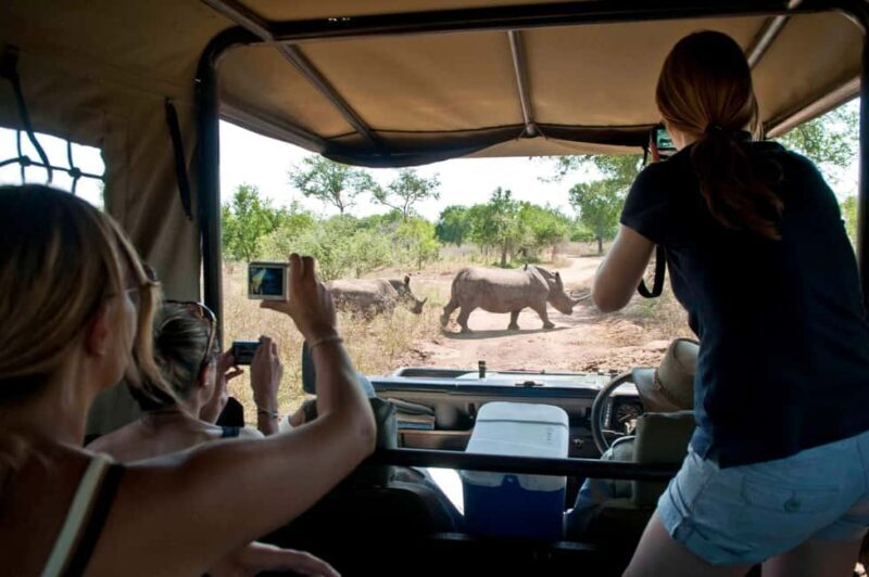 4-Day Masai Mara and Lake Nakuru safari from Nairobi - Key Points