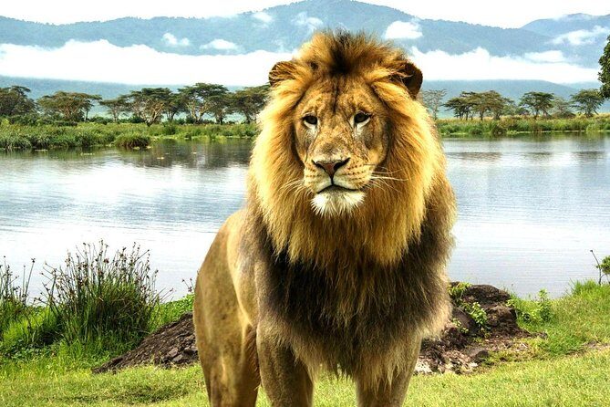 4 Day Masai Mara & Lake Nakuru Group Joining Camping Safari - Daily Departures - Key Points