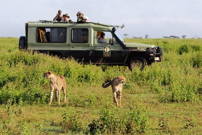 4 Day Masai Mara & Lake Nakuru Group Joining Camping Safari - Daily Departures - Frequently Asked Questions