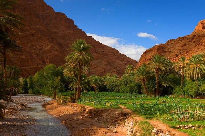 4-Day Merzouga Desert Private Tour from Marrakech - The Sum Up