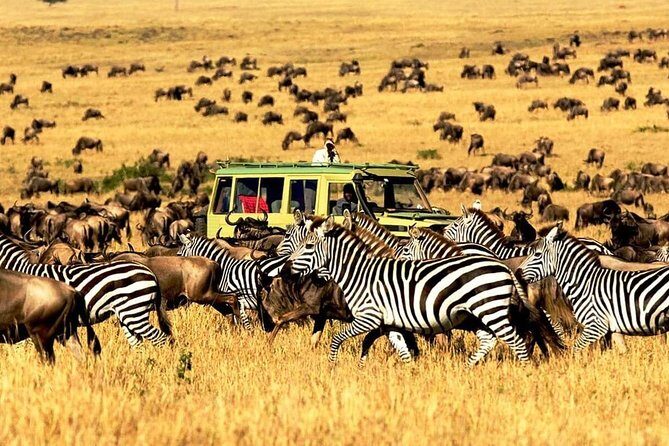 4 Day Mid-range Private Roundtrip Flying from Zanzibar - Who Will Love This Tour?