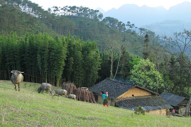 4-Day Motorbike Tour through Ha Giangs Wonders - FAQ