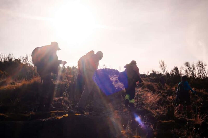 4-Day Mount Kenya: Chogoria-Sirimon Route Exhilarating Hike. - Practical Tips for Trekking Mount Kenya