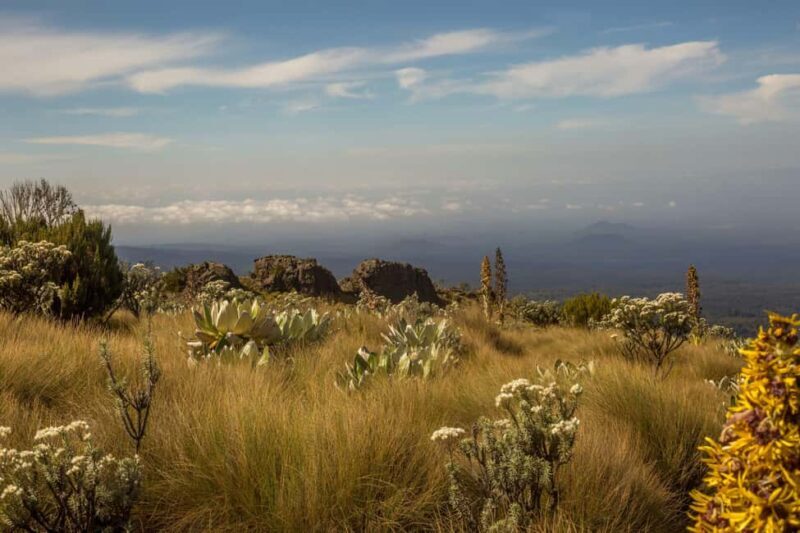 4-Day Mount Kenya: Sirimon Route Thrilling Hike - Key Points