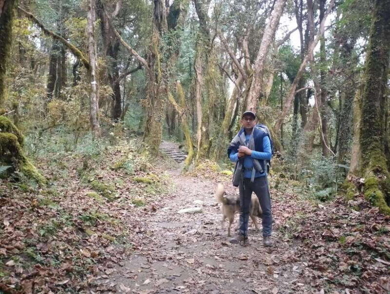 4-day-mulde-poon-hill-trek-itinerary-children-friendly