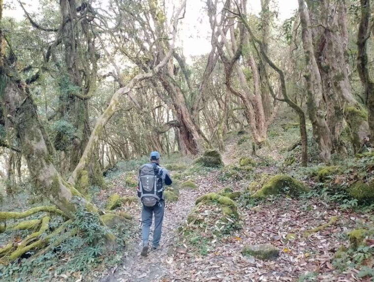 4-day-mulde-poon-hill-trek-itinerary-children-friendly