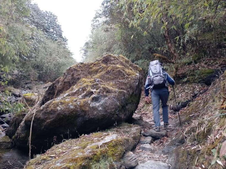 4-day-mulde-poon-hill-trek-itinerary-children-friendly