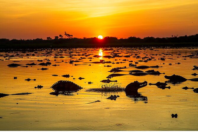 4-day-pantanal-tour-with-accommodation-departing-from-cuiaba