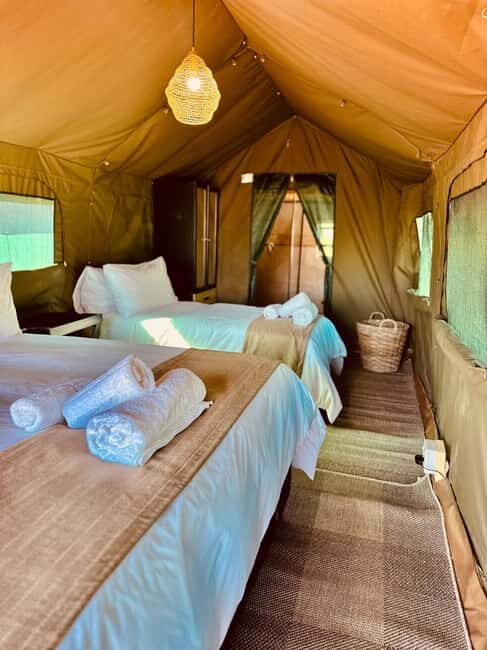 4-Day Pilanesberg Tlou En-Suite Tented Safari - The Complete Breakdown of the 4-Day Safari Experience
