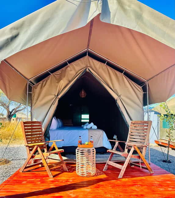 4-Day Pilanesberg Tlou En-Suite Tented Safari - Practical Considerations & Value
