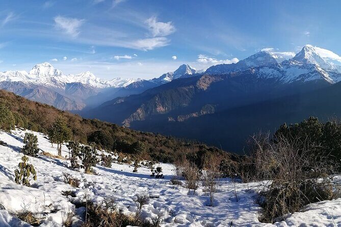 4 Day Poon Hill Trek and Pokhara Private Tour - Exploring the Itinerary in Detail