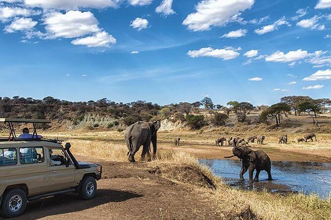 4 Day Private Camping Safari in Serengeti,Ngorongoro and Tarangire National Park - The Experience: An In-Depth Look at the 4-Day Tanzania Safari