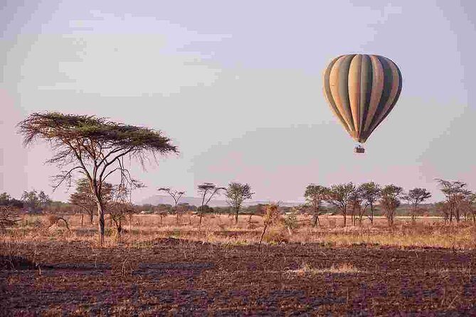 4 Day Private Camping Safari in Serengeti,Ngorongoro and Tarangire National Park - Who Is This Safari Best For?