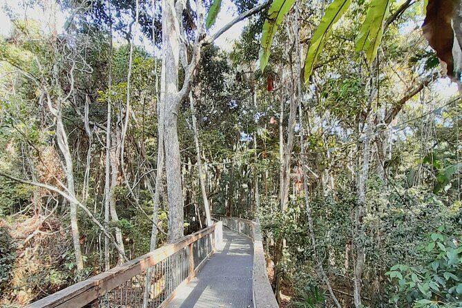 4-Day Private Coastal Escape from Sydney to Mid North Coast - A Closer Look at the 4-Day Itinerary