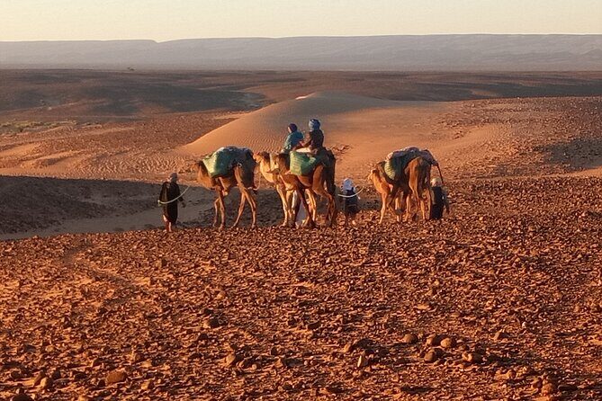 4 Day Private Desert Trek from M'Hamid to Chegaga - Key Points