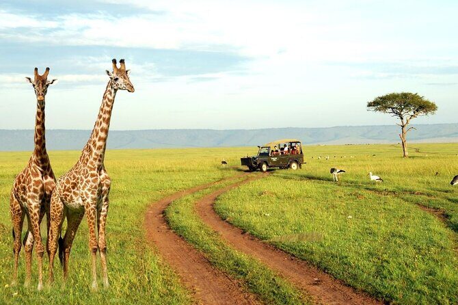 4 Day Private Garden Route Safari from Cape Town - Final Thoughts